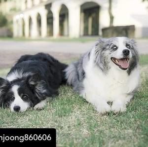 Meet your Posher, Rhonda